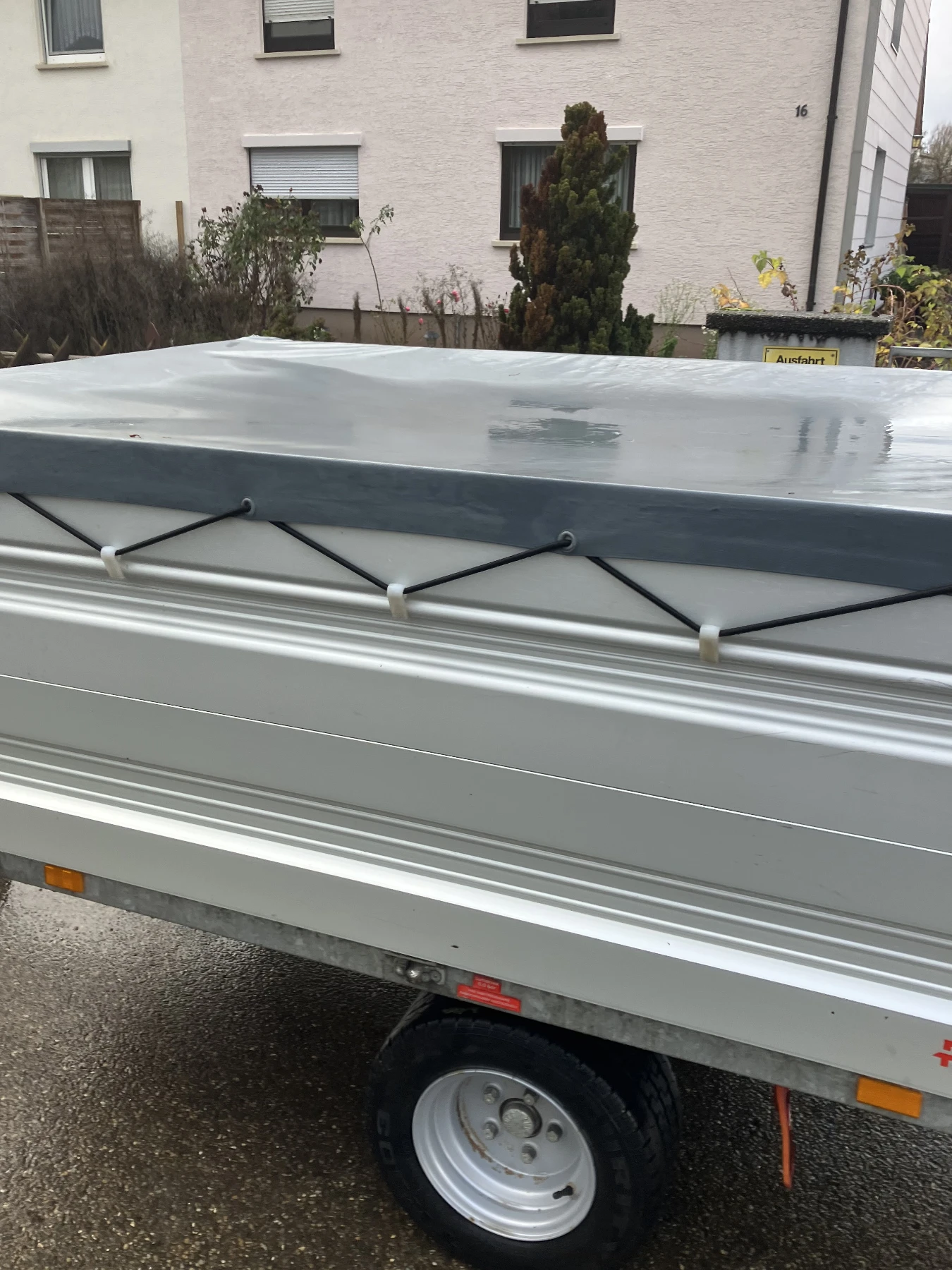 Grabpflege mit Tagetes und Pelargonien Markus Hübl