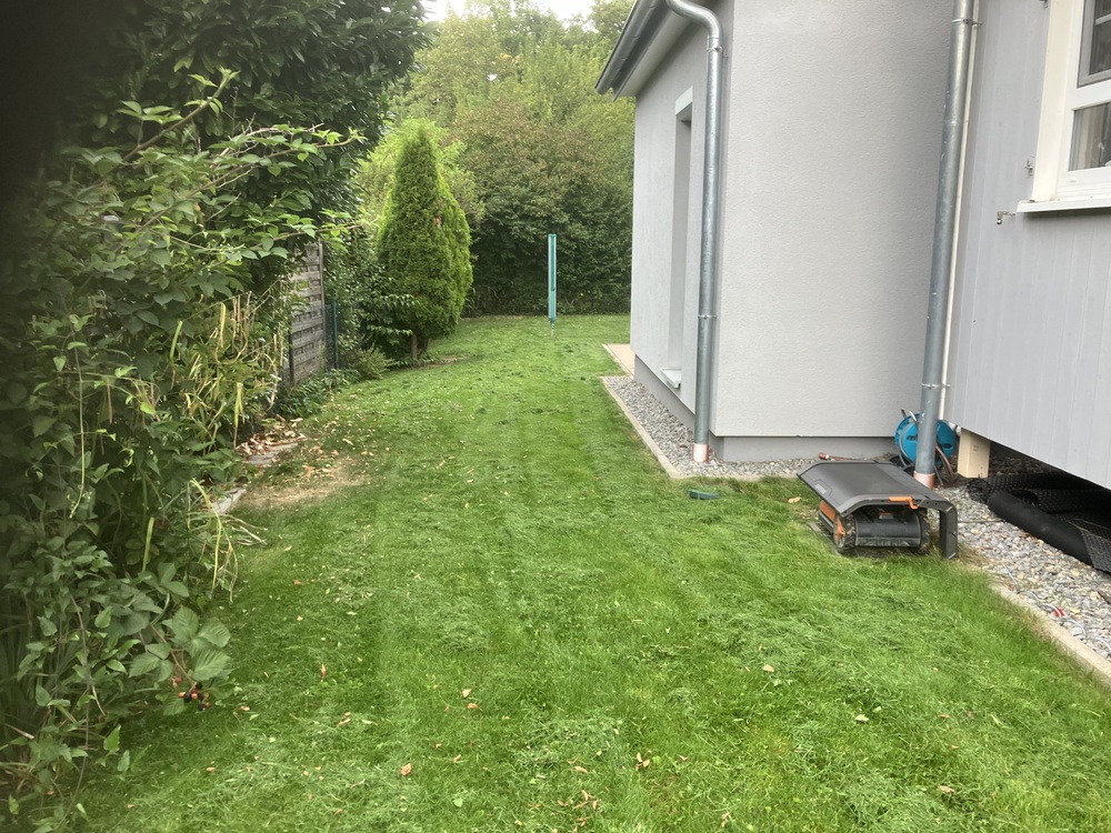 Gepflegter Rasen Markus Hübl