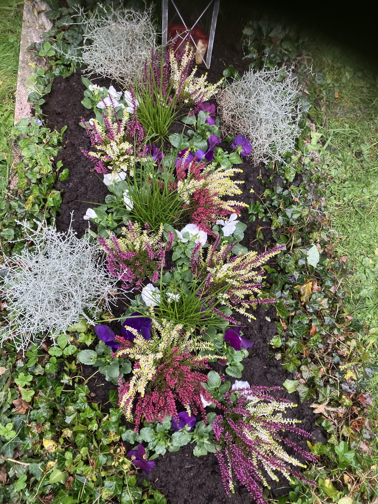 Grabpflege mit Calluna und Violen Markus Hübl