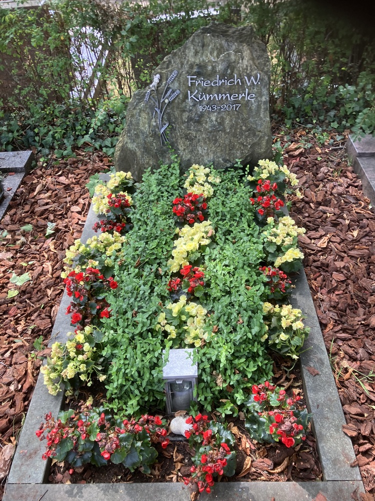 Grabpflege mit Knollenbegonien und Buchs Markus Hübl