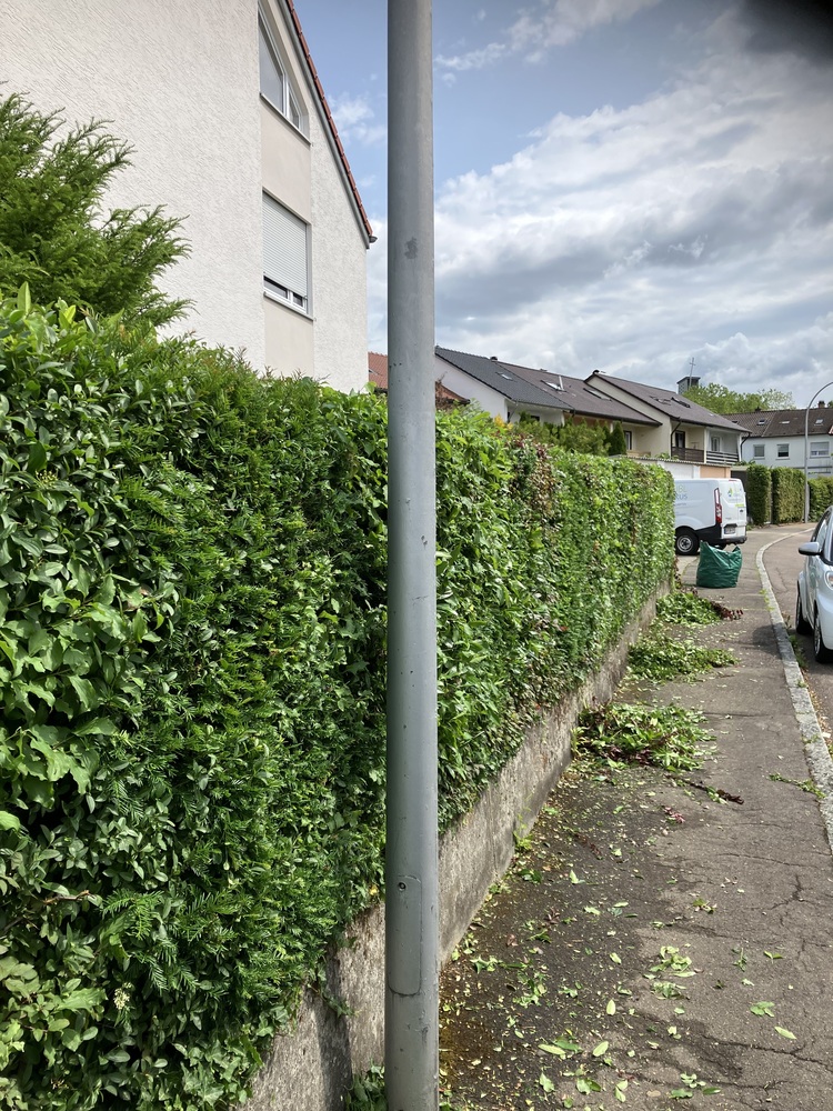 Heckenschnitt Rasenpflege Markus Hübl