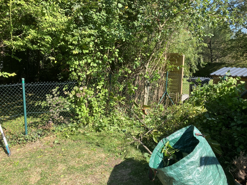 Rasenpflege im Garten Markus Hübl