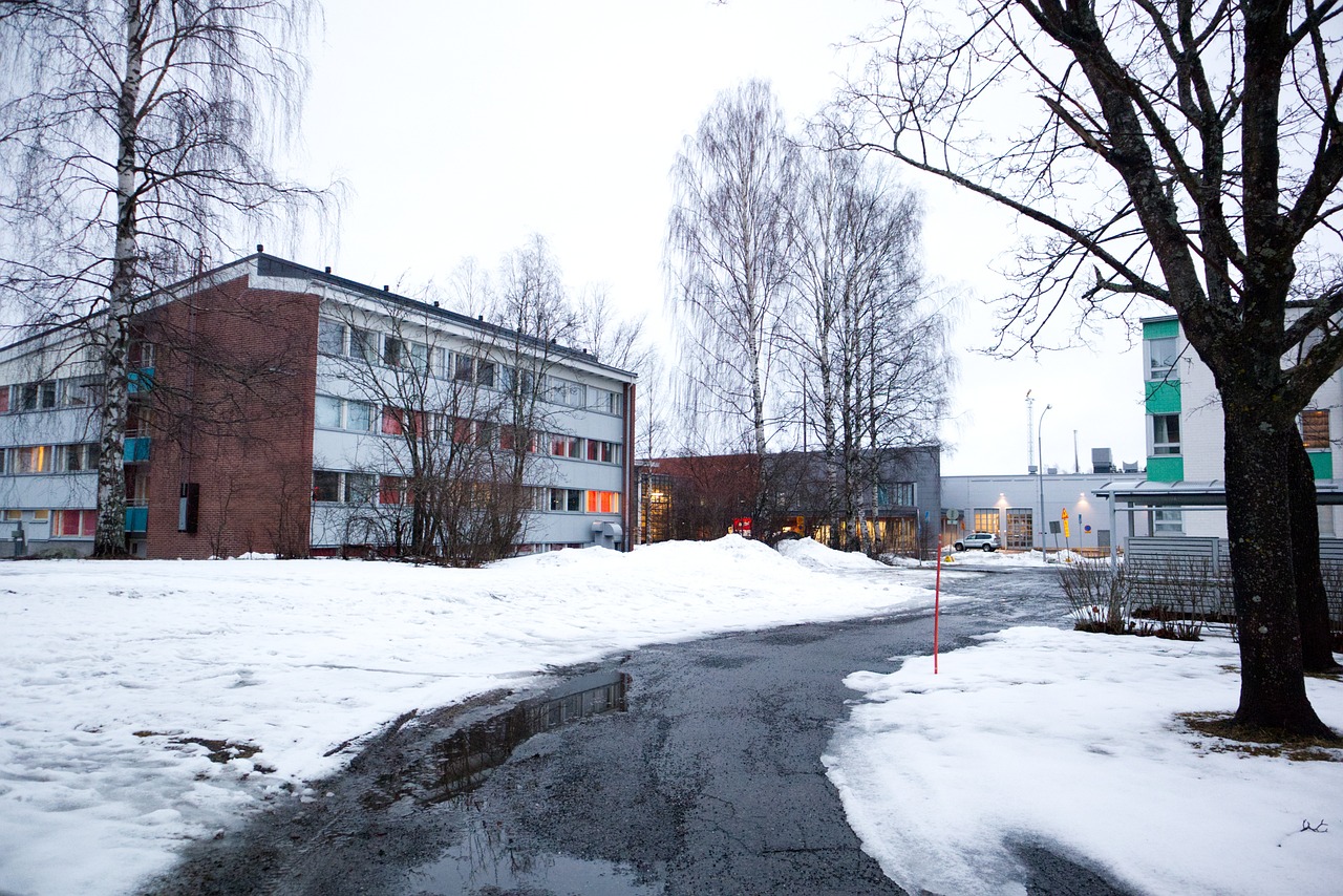 Grabpflege mit Heide und Aster Markus Hübl