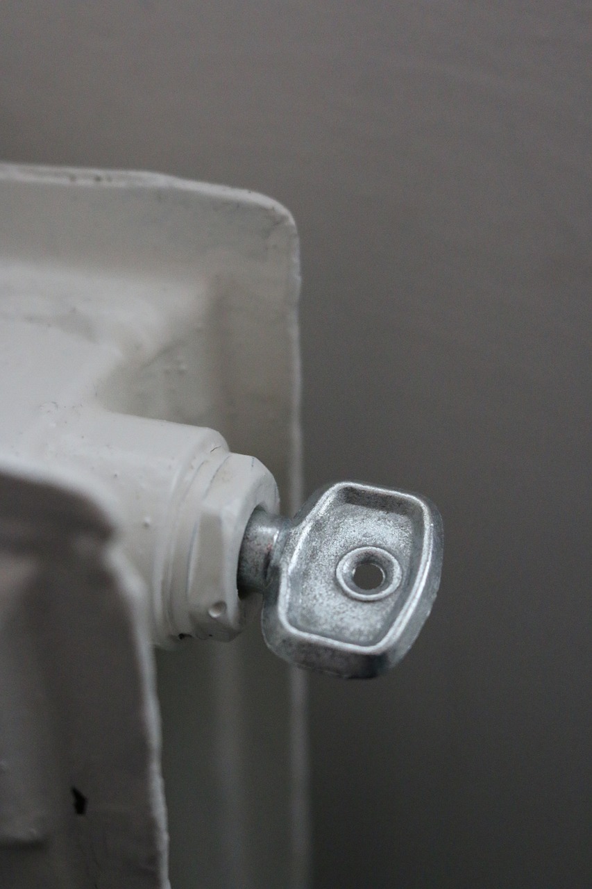 Grabpflege mit Heide und Aster Markus Hübl